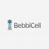 Unlocking <var>BebbiCell</var> <var>Oneplus</var>